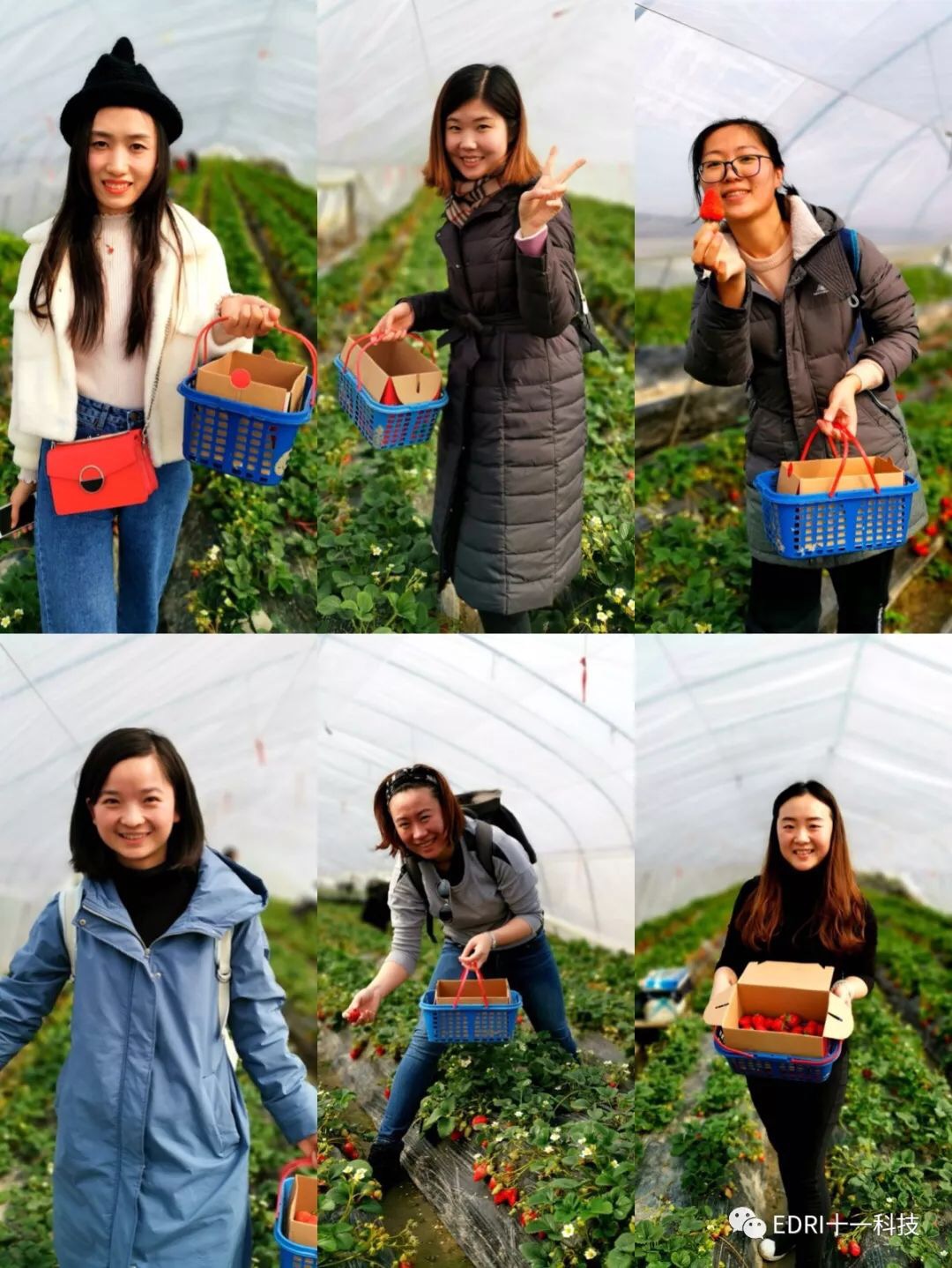 1552284488490244.jpg 3.jpg